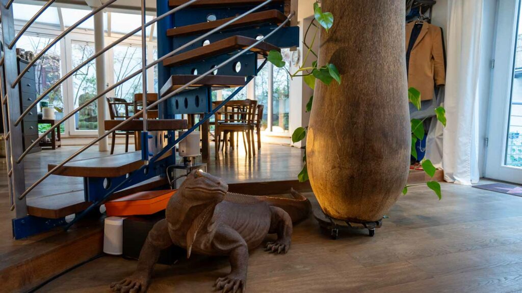 Modernes Wohnzimmer mit Treppe und großer Pflanze